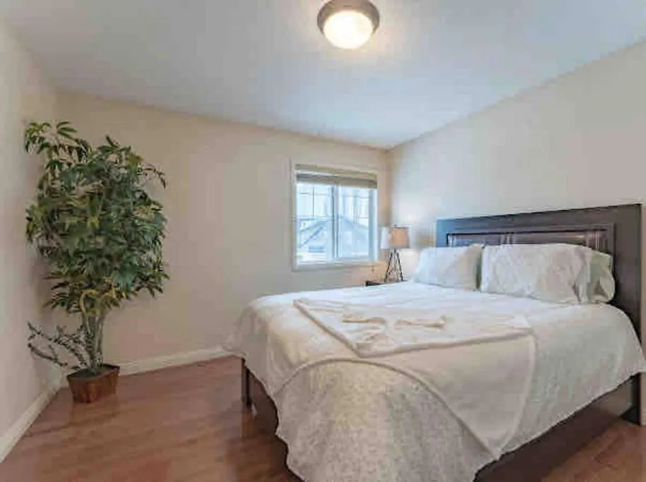 2500 Sq House In Springbank Hill Bl 261818 contacts